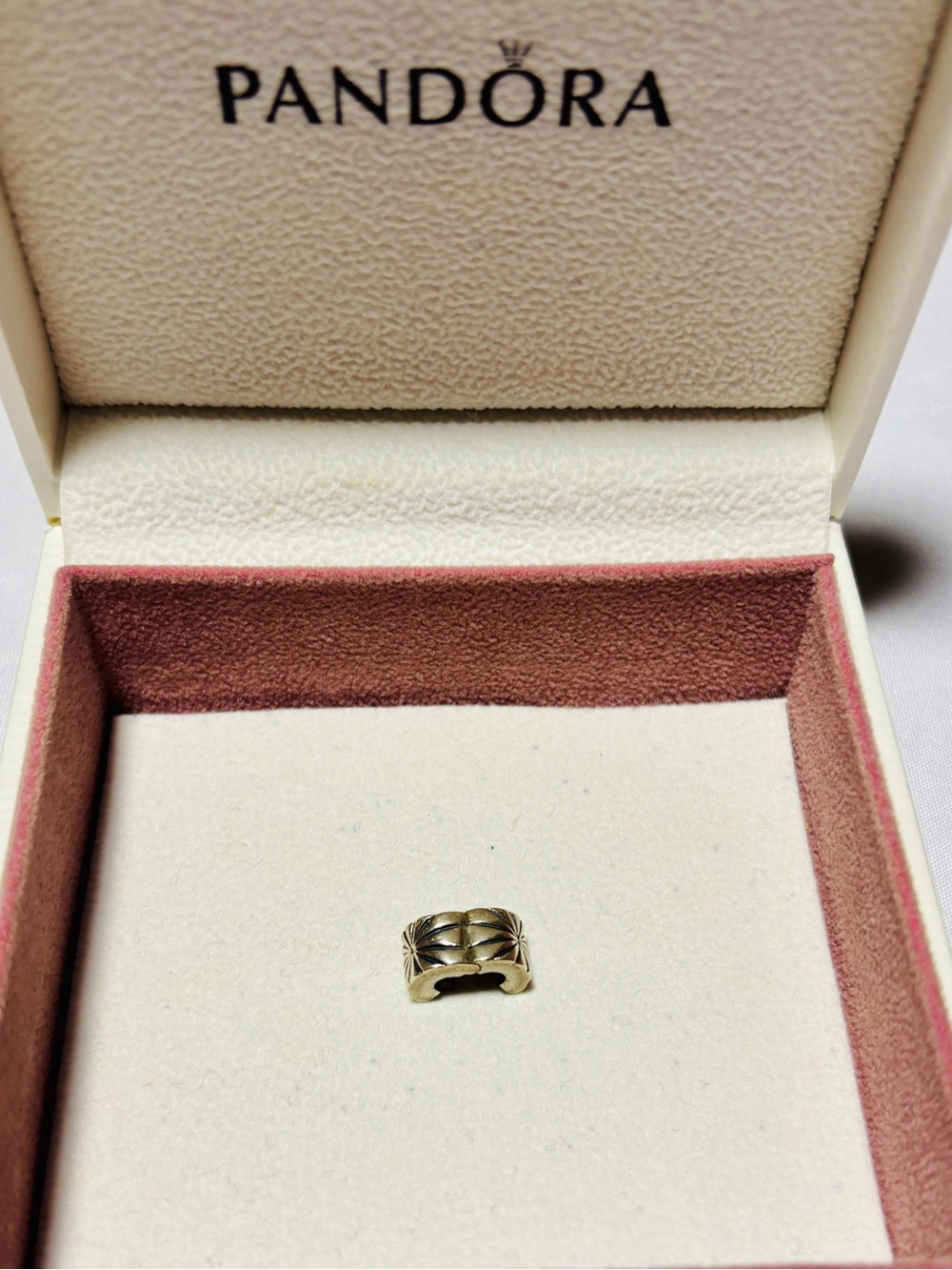 PANDORA Silver Accent Clip Charm
